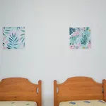 Apartamentos Los Molinos